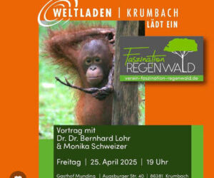 Weltladen Krumbach lädt ein – Ist der Regewald noch zu retten?